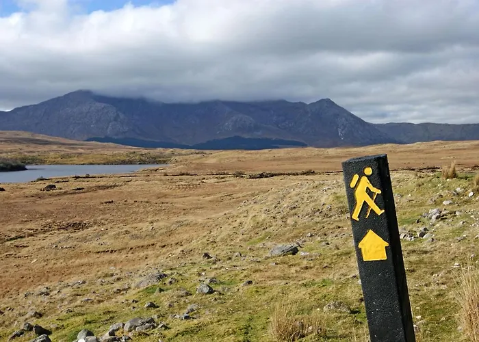 431 - Дом отдыха *